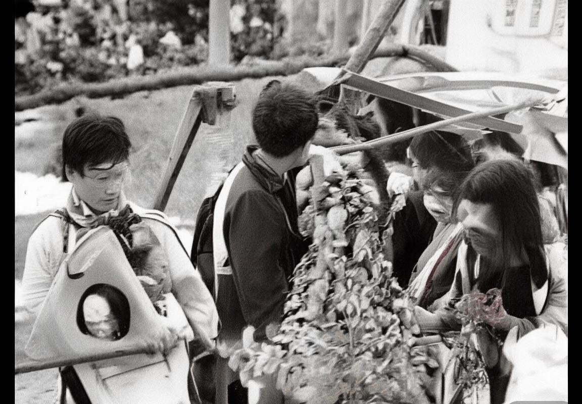 厄德高：足球天才的成长轨迹与未来展望